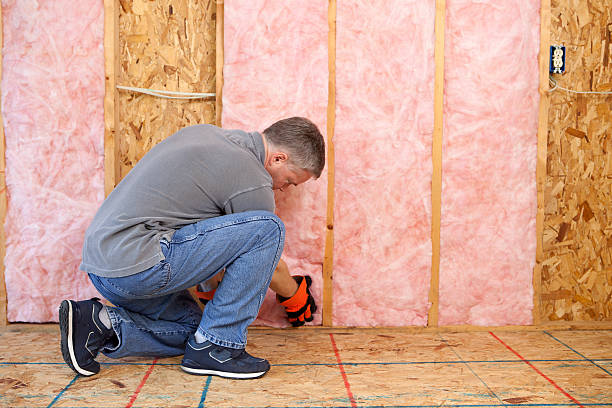 Best Energy Efficiency Insulation in Saranac, MI